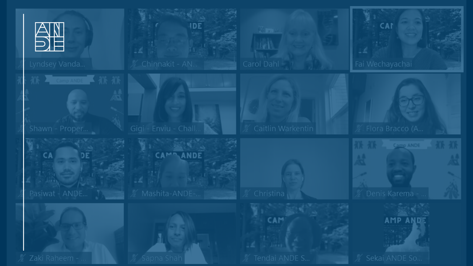 Watch the #ANDE2021 session recordings